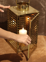 Striated Golden Lantern